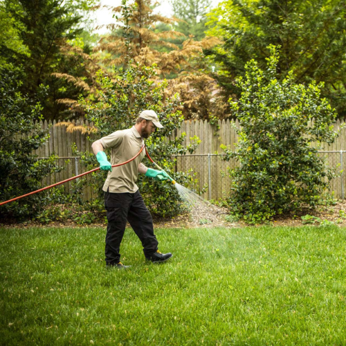 lawn and weed pest control