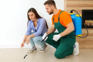 Pest Control in cedar city